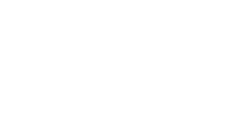 Via Internet